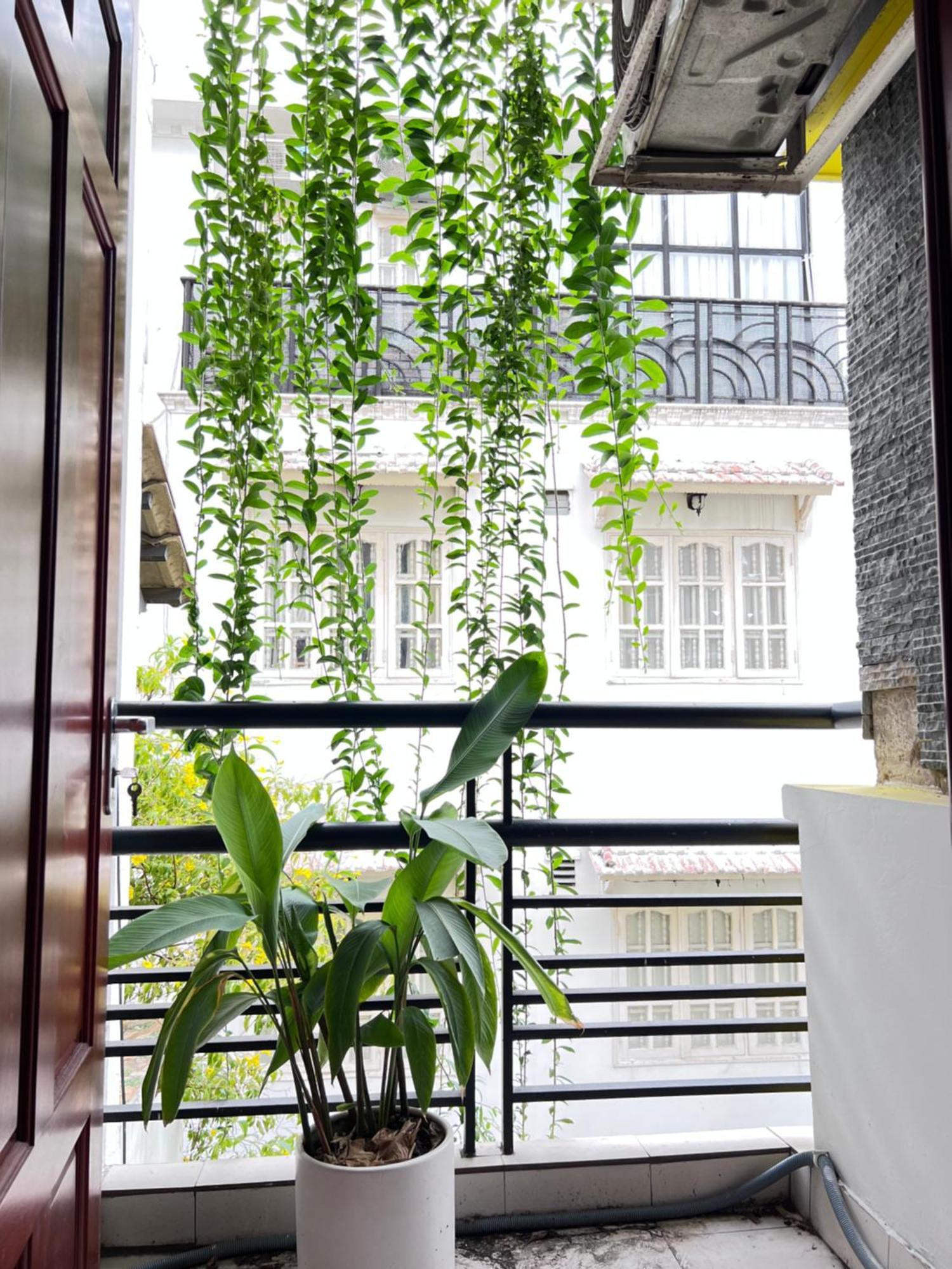 Co Homestay Saigon Πόλη Χο Τσι Μινχ Εξωτερικό φωτογραφία